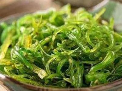 海藻的功效与作用 藻类的忌讳