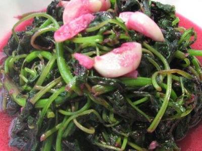 红汗菜怎么煮 红汗菜怎么做好吃
