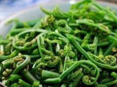 吃水蕨菜有哪些益处呢 水蕨菜有致癌物质吗