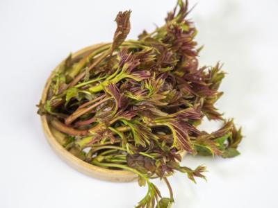 香椿芽可以生吃吗 如何采摘新鲜的香椿芽
