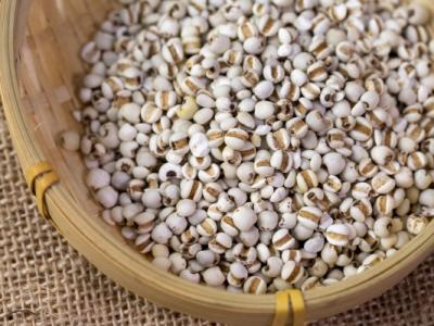 薏米怎么吃去湿气效果好 食用薏米的注意事项