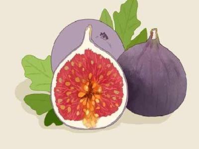 无花果干的功效与作用、禁忌和食用方法