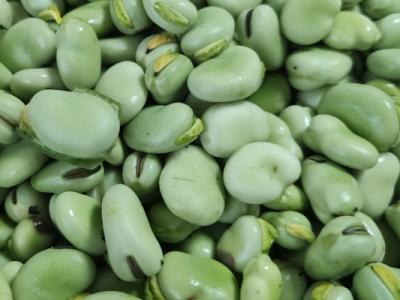 干蚕豆的功效与作用、禁忌和食用方法