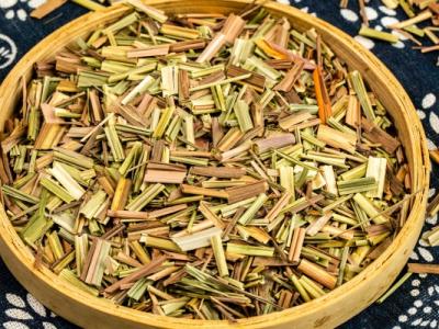 香草的功效与作用、禁忌和食用方法
