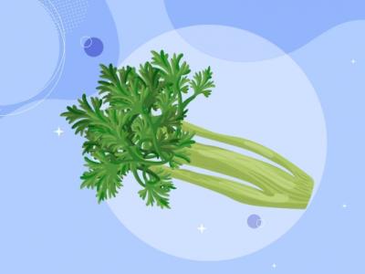 芹菜的功效与作用、禁忌和食用方法
