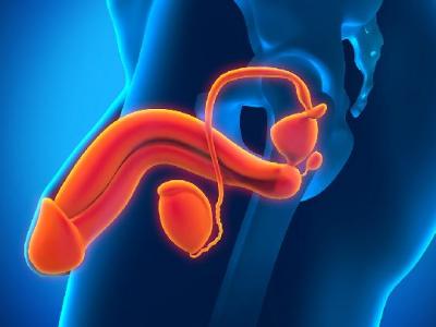 男性阴茎中线囊肿是怎么回事 男性阴茎中线囊肿的4个诊断要点