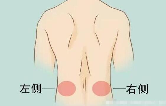 女性后背疼警惕四种病，腰部周围痛小心妇科病(疼痛位置图解)