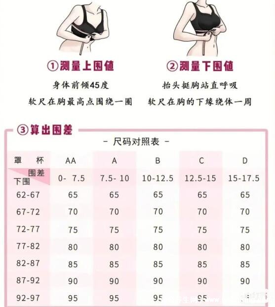 胸围尺寸尺码对照表，女生标准罩杯ABCD尺码表(附测量方法)