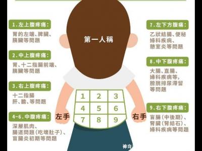 女性下腹疼痛部位图解位置，左下腹痛警惕卵巢囊肿/输卵管炎