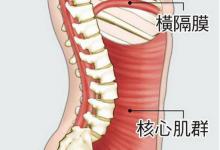 核心≠腹肌 认识核心肌群和训练方法