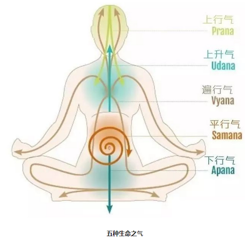 瑜伽动作进行增强气息 锻炼特殊瑜伽动作增强内气