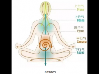 瑜伽动作进行增强气息 锻炼特殊瑜伽动作增强内气