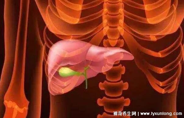 胆囊息肉最怕三种运动，散步/游泳/瑜伽(千万别举重爬山)