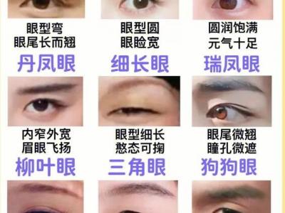 二十种眼形大全图解，杏眼/狗狗眼/混血眼非常有特点