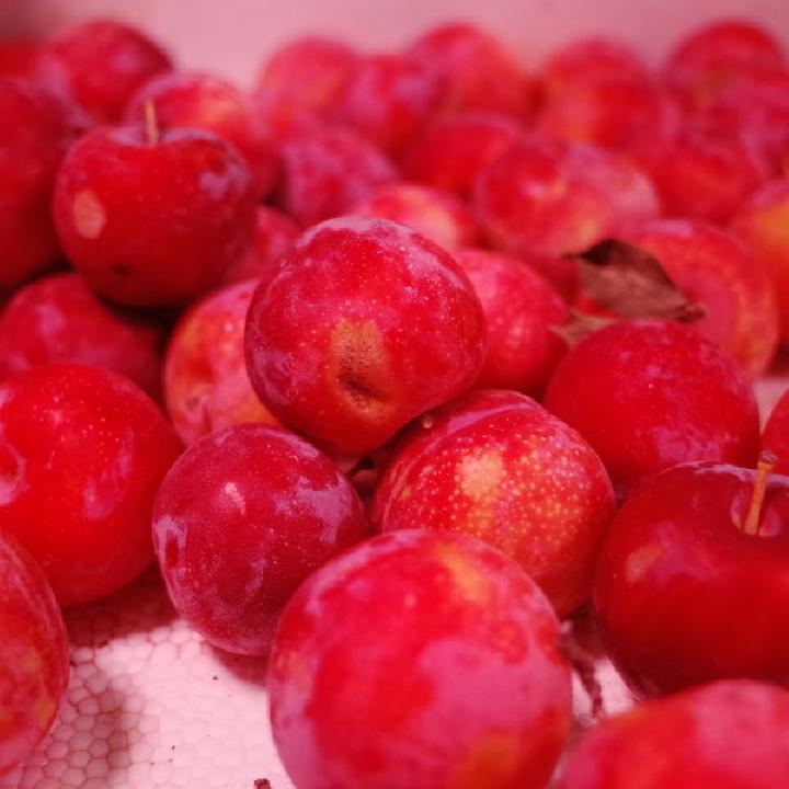 晚上选择吃水果沙拉可以减肥吗？吃水果沙拉减肥要注意什么？