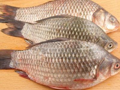 跳绳减肥的最佳时间是上午还是下午？建议选择这个时间段跳绳
