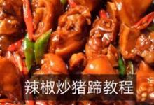 辣椒炒猪蹄的做法-咸鲜味炖菜谱