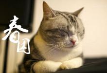 一吃饭就食物昏迷 如何拯救