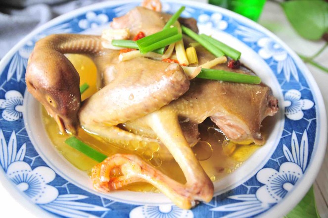清蒸鸽子的做法-家常味蒸菜谱