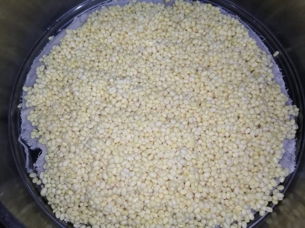 绿豆沙馅的做法-甜味炒菜谱