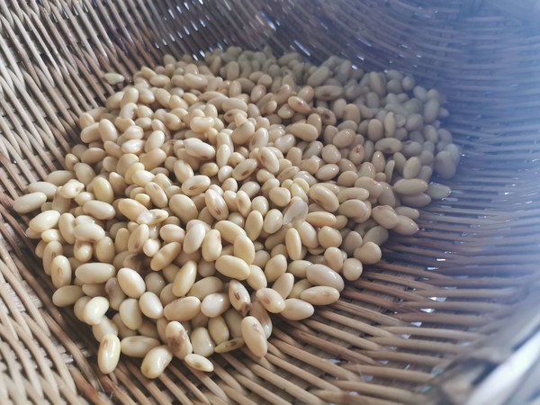 麻辣豆的做法-麻辣味炒菜谱-易网健康养生网 麻辣豆的做法-麻辣味炒菜谱