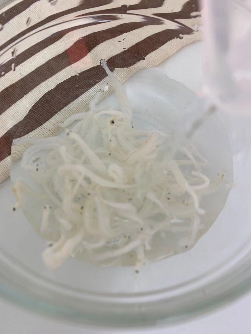 宝宝辅食  银鱼秋葵煎蛋的做法-家常味煎菜谱