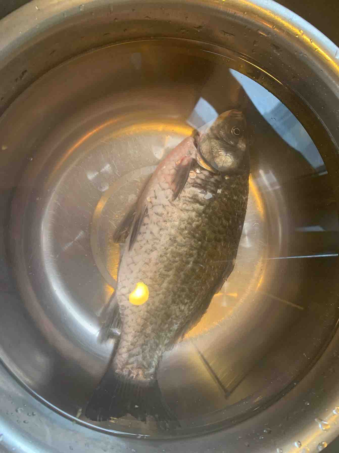 奶白鲫鱼豆腐汤的做法-咸鲜味煮菜谱