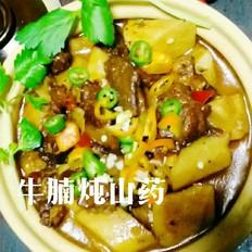 牛腩炖山药的做法-家常味炖菜谱