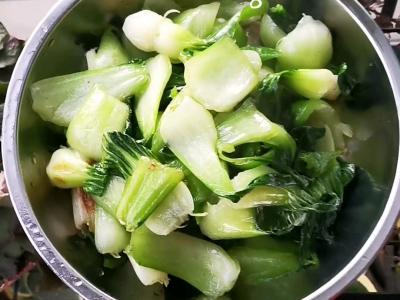 青椒小油菜的做法-家常味炒菜谱