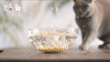 黄豆烧猪尾!超级好吃的家常菜,学会了这道菜,谁还去吃红烧肉和大猪蹄子啊?的做法-咸鲜味烧菜谱-易网<a href=http://www.bryss.cn/ target=_blank class=infotextkey>健康养生</a>网 黄豆烧猪尾!超级好吃的家常菜,学会了这道菜,谁还去吃红烧肉和大猪蹄子啊?的做法-咸鲜味烧菜谱