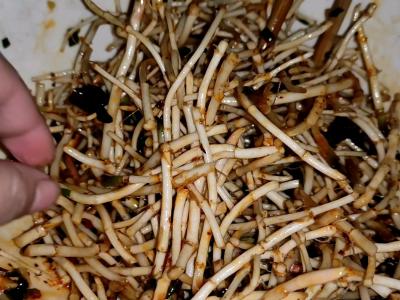 1分钟凉拌野生折耳根的做法-香辣味拌菜谱