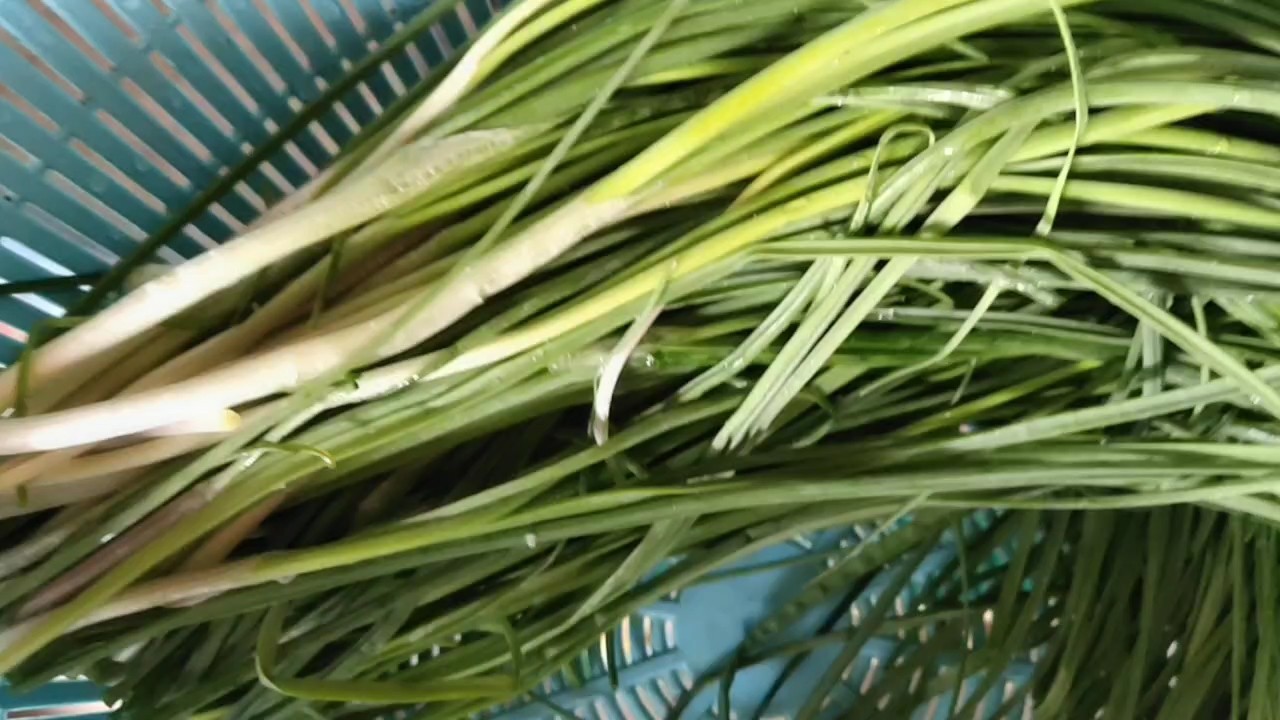 野韭菜炒鸡蛋的做法-家常味炒菜谱