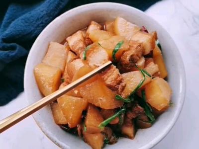 萝卜烧肉的做法-咸鲜味烧菜谱