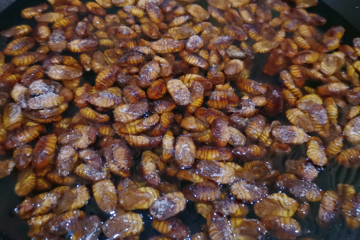 炒蚕蛹的做法-家常味炒菜谱