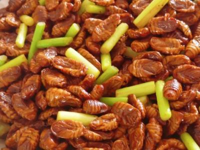 炒蚕蛹的做法-家常味炒菜谱