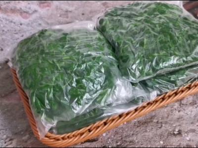 野菜的保存方法的做法-家常味煮菜谱