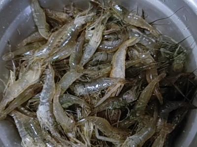 酱烤鸡爪的做法-咸鲜味烤菜谱