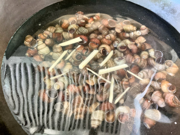 夜宵摊的《香辣田螺》的做法-香辣味炒菜谱