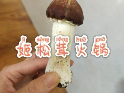 姬松茸火锅的做法-咸鲜味煮菜谱