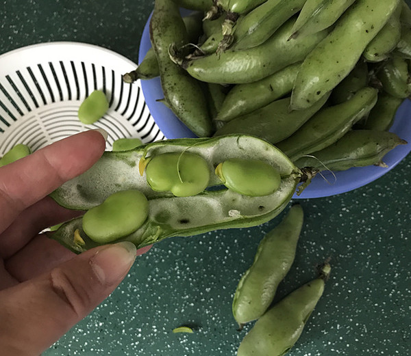五香蚕豆的做法-五香味煮菜谱-易网健康养生网 五香蚕豆的做法-五香味煮菜谱