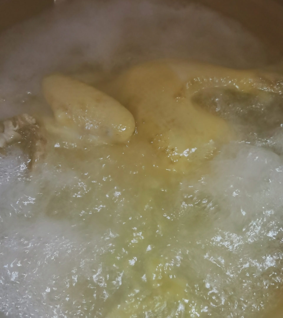 柠檬手撕鸡(少油少盐美味不减!)的做法-咸鲜味拌菜谱-易网<a href=http://www.bryss.cn/ target=_blank class=infotextkey>健康养生</a>网 柠檬手撕鸡(少油少盐美味不减!)的做法-咸鲜味拌菜谱