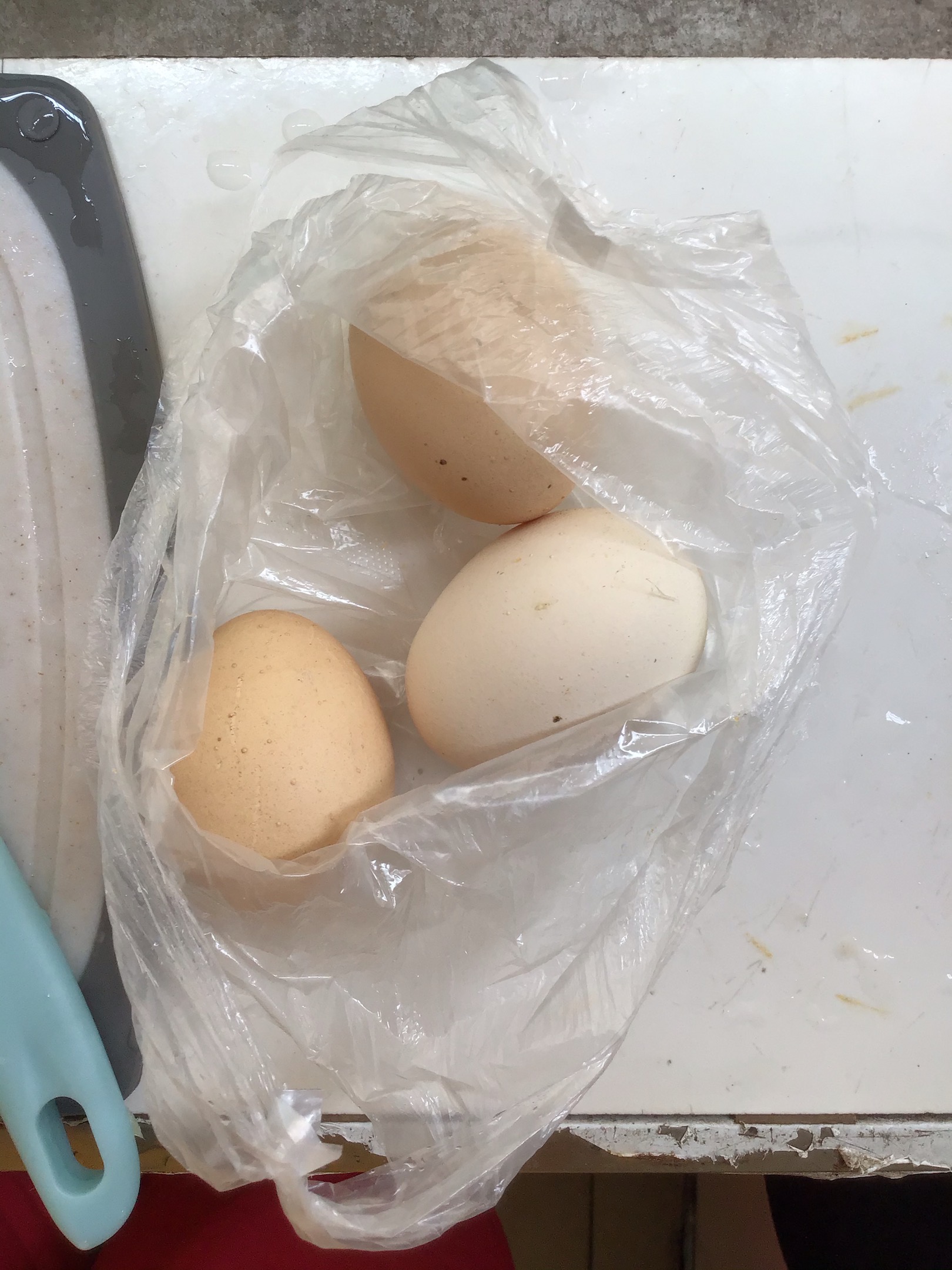 苦瓜炒鸡蛋的做法-家常味炒菜谱