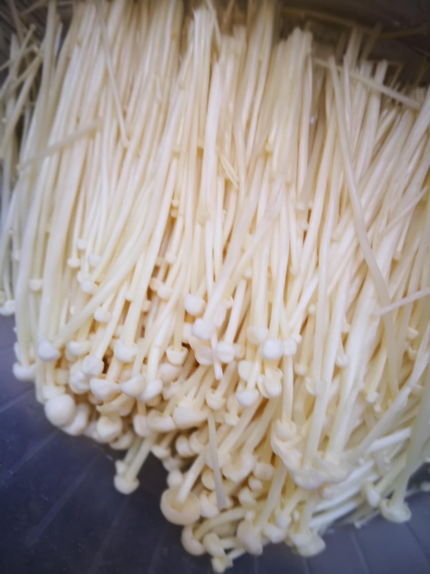 三黄鸡烧土豆的做法-家常味烧菜谱