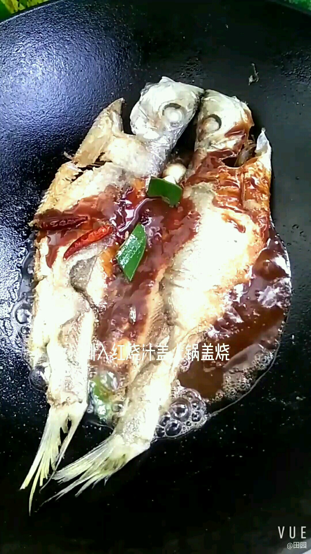 鲜美烧快鱼的做法-咸鲜味烧菜谱