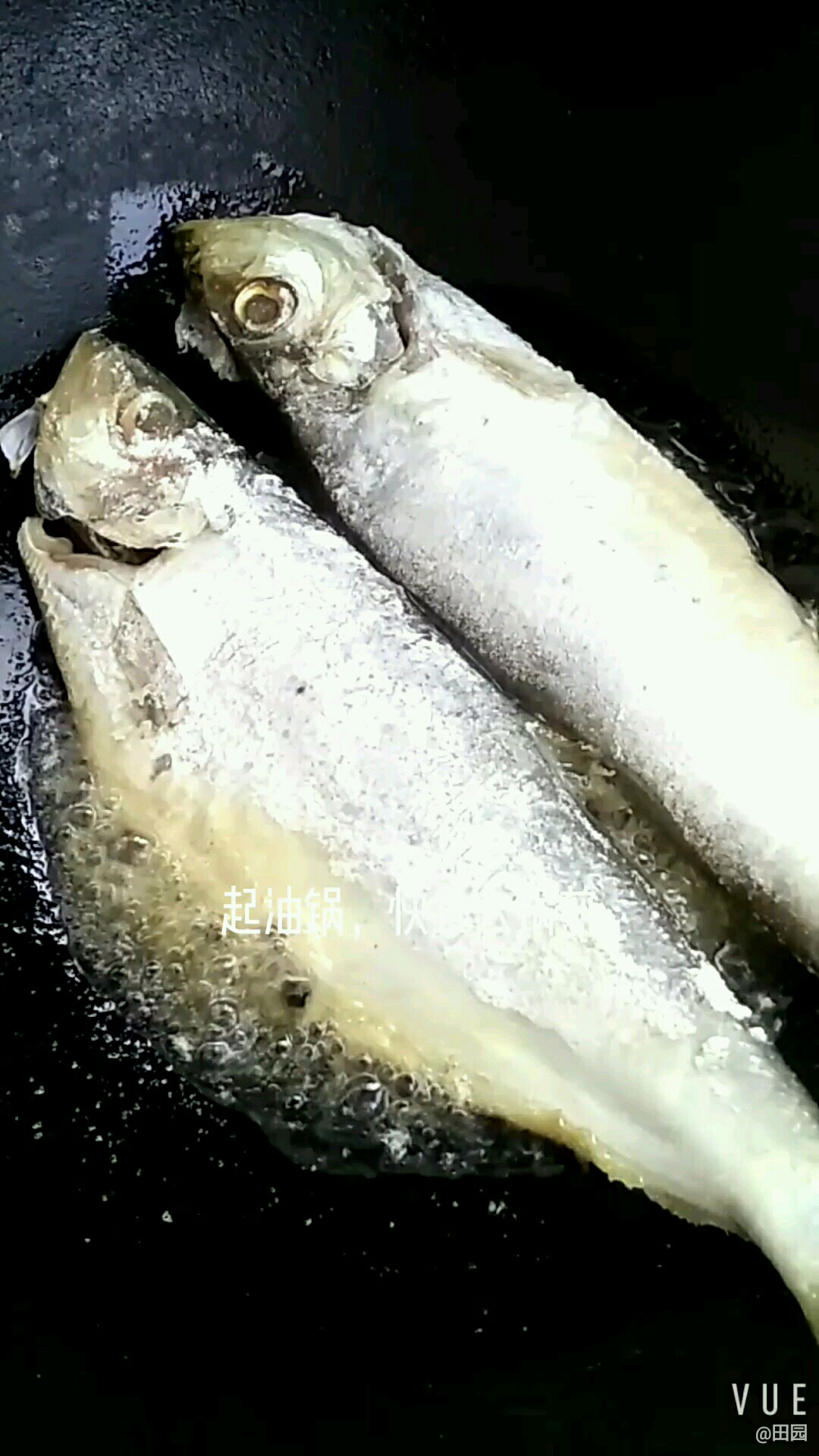 鲜美烧快鱼的做法-咸鲜味烧菜谱