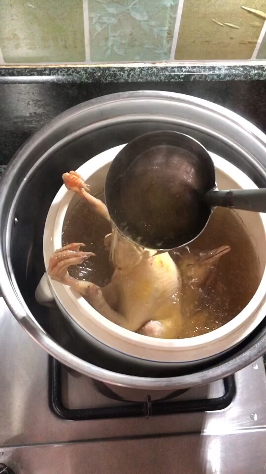 鲜甜美味的鸽子汤，这样做滋补又养颜，冬天必备养生饮品！的做法-家常味炖菜谱
