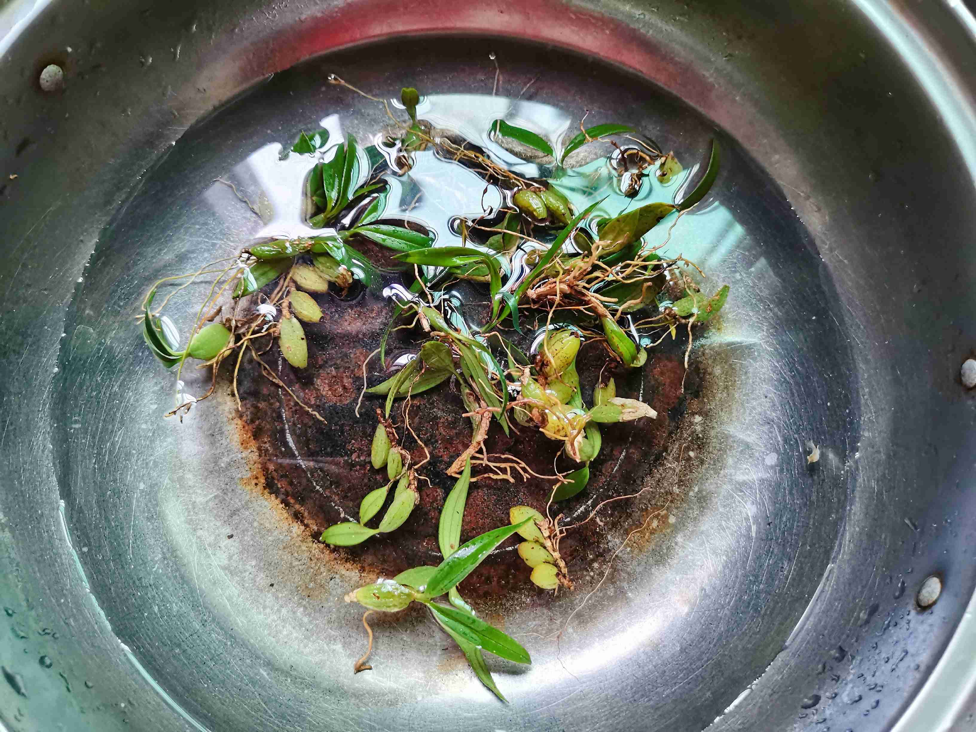 石橄榄炖肉的做法-家常味炖菜谱
