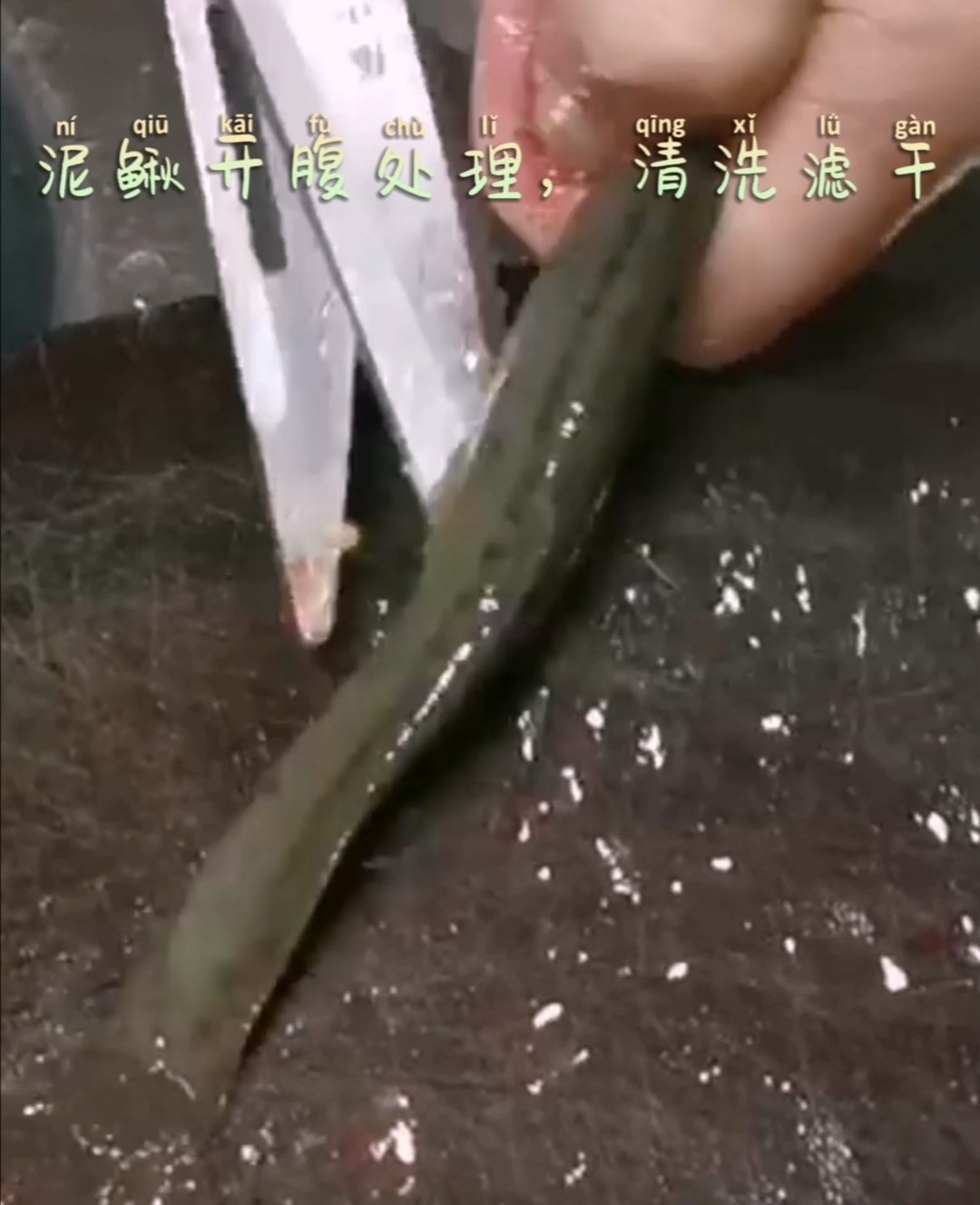 豆腐焖泥鳅的做法-家常味焖菜谱
