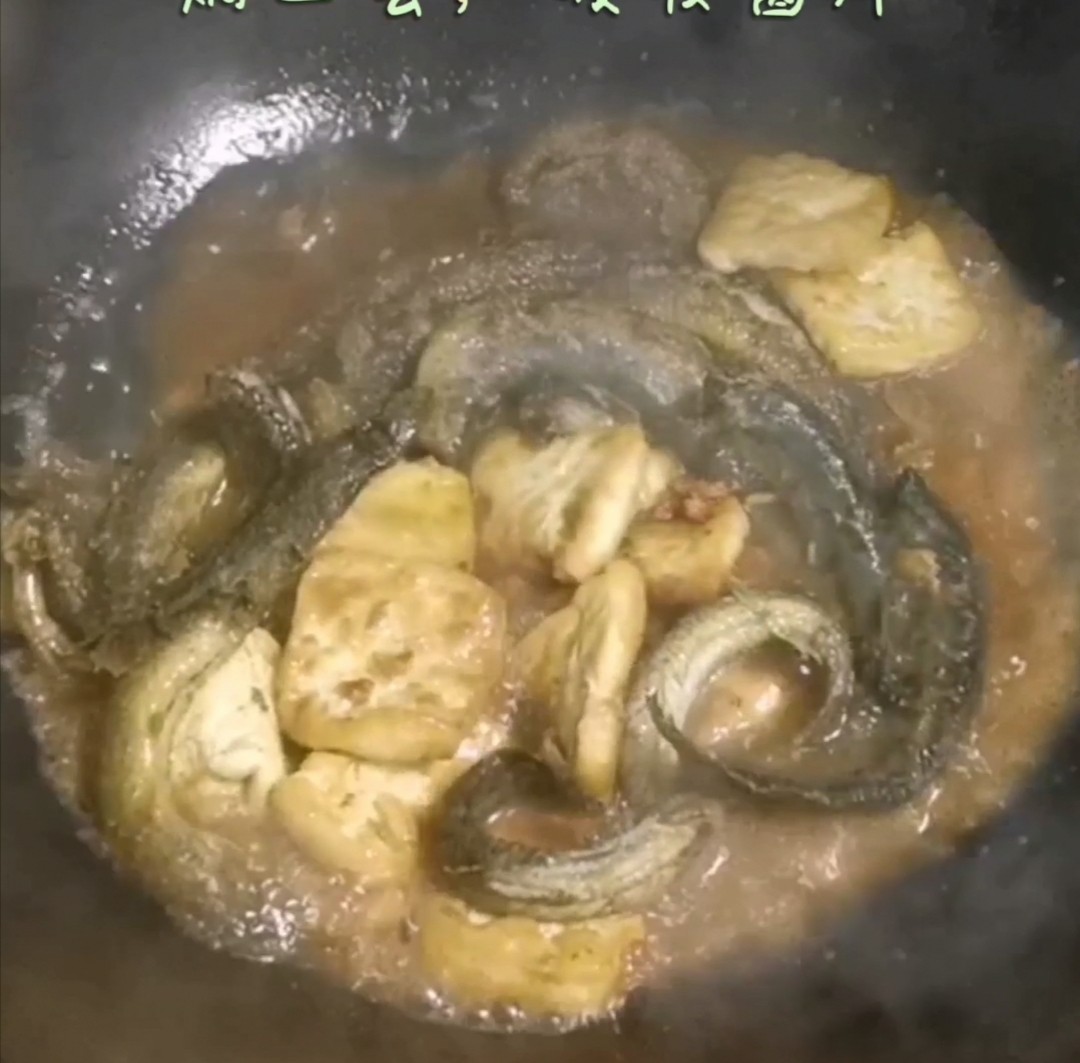 豆腐焖泥鳅的做法-家常味焖菜谱