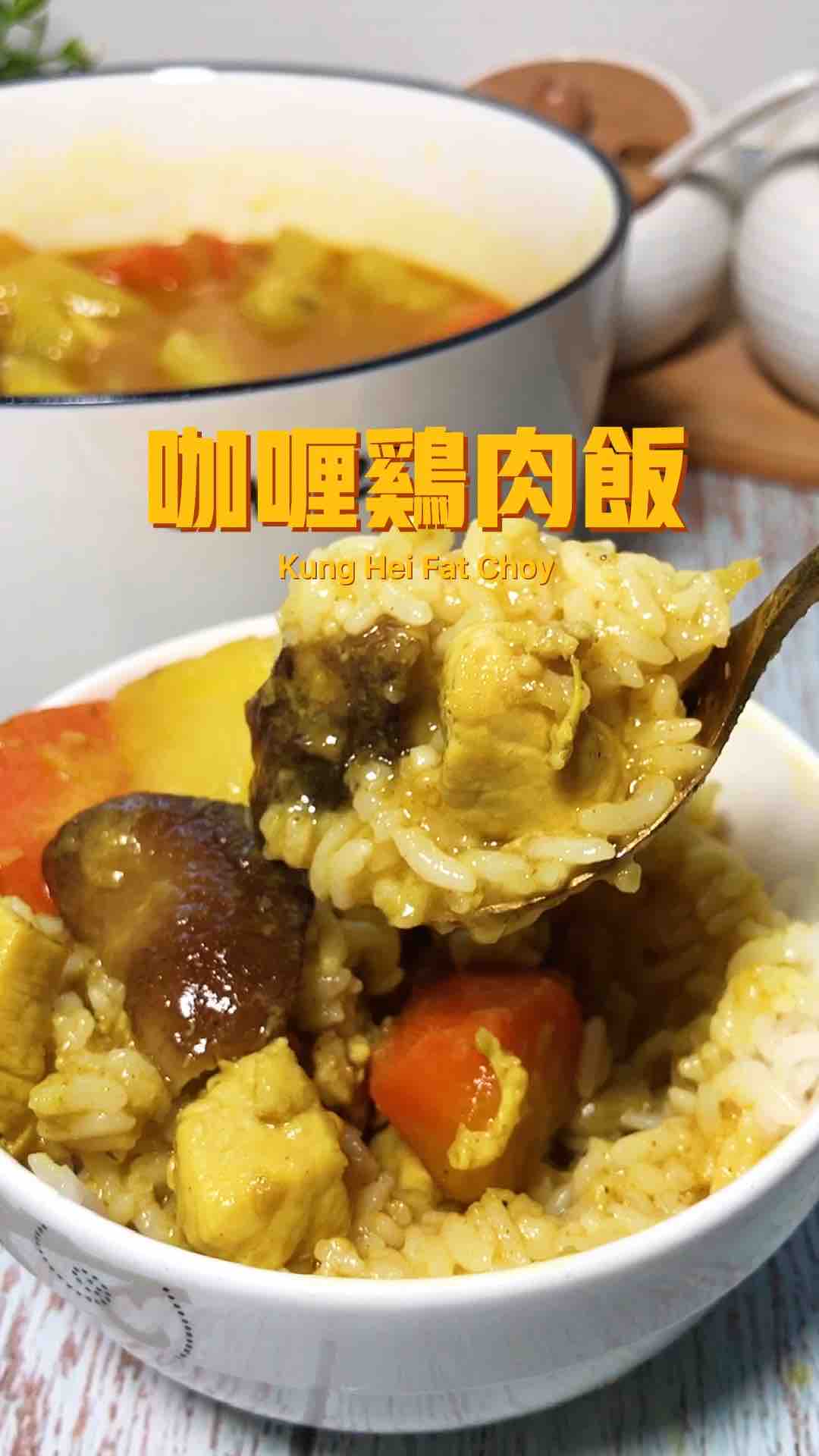 咖喱鸡肉饭的做法-咖喱味煮菜谱